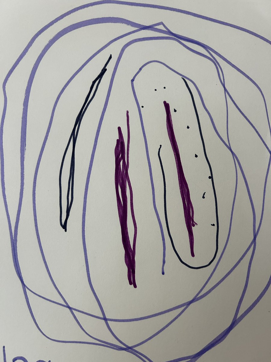 A wonderful start to the school year <a href="/TheMabinSchool/">The Mabin School</a>. We relish the chance to meet our youngest students where they feel most comfortable, their own homes. Connecting as we draw something to post in the class for the first day makes for a very special beginning. #MabinMagic