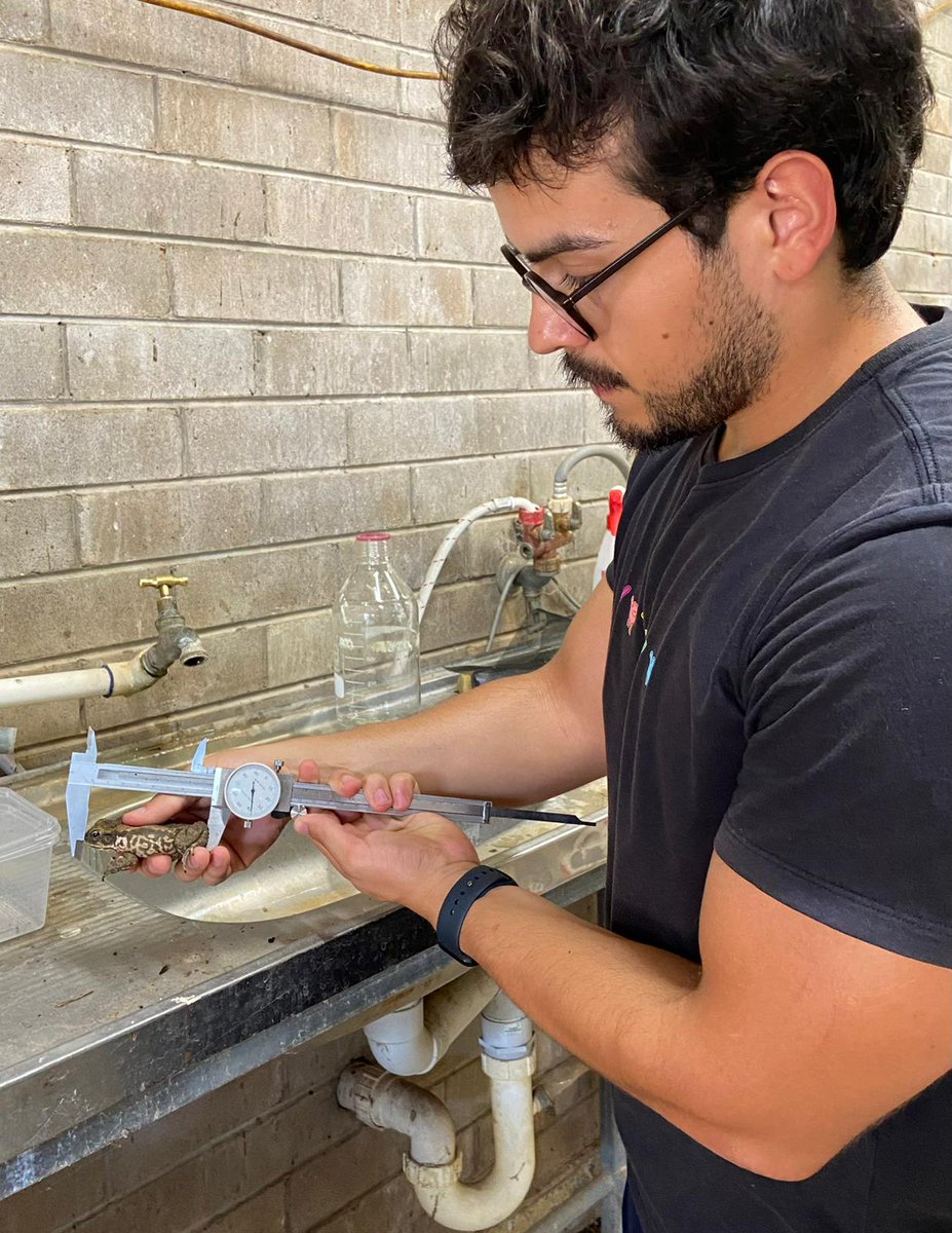 So happy to announce that I was awarded a Holsworth Wildlife Research Endowment grant from <a href="/EcolSocAus/">Ecological Society of Australia</a> to fund my research on immune traits of invasive cane toads in Australia. Thanks to my supervisor <a href="/rollins_lee/">Lee Rollins</a> and Dr. Bill Holsworth for the support to my PhD research!