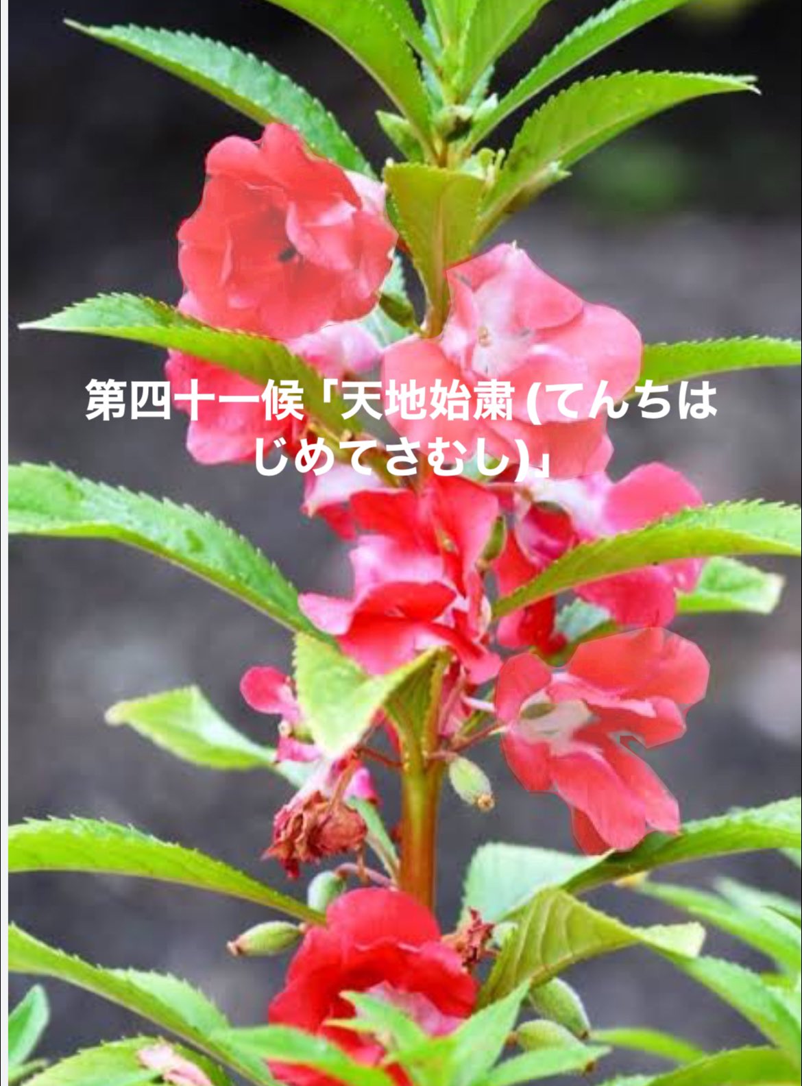 ✨milky♡◆60分延長分電話鑑定◆霊能力で彼の魂とお話致します！ リモート占い館 – търсене / X