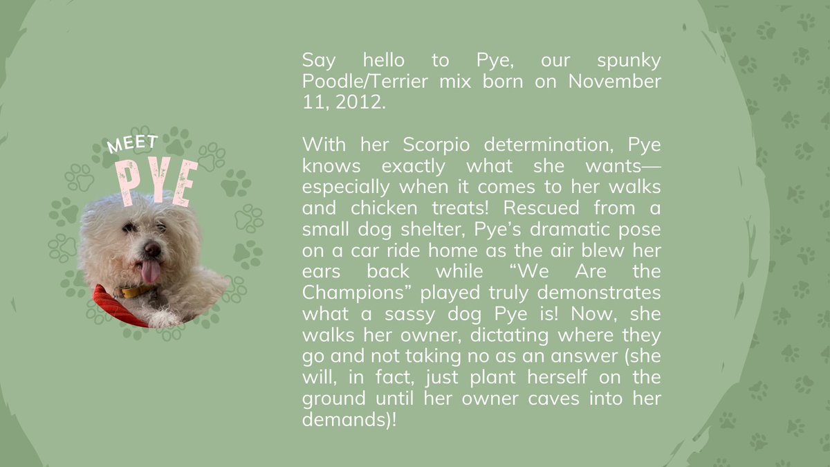 CALM Conference tweet media