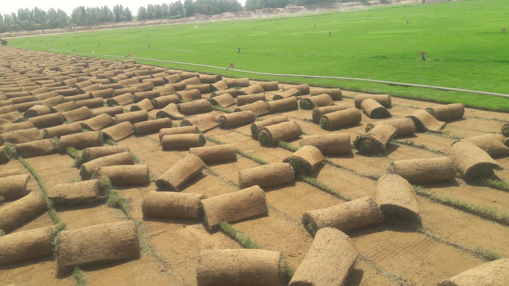 مشاتل ومزارع السهول الخضراء مكه المكرمة 
0547438487