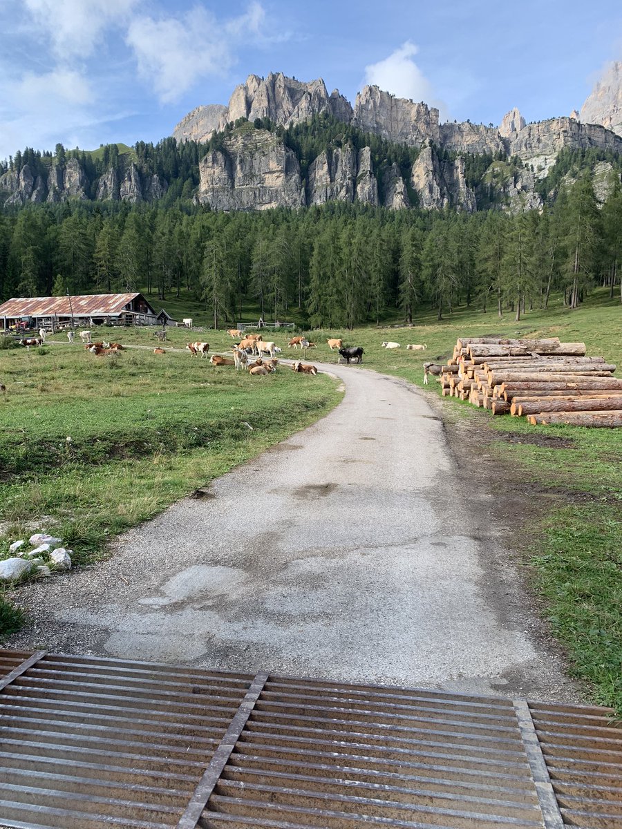 La bellezza della solitudine #semplicementePerché sei in pace con te stesso