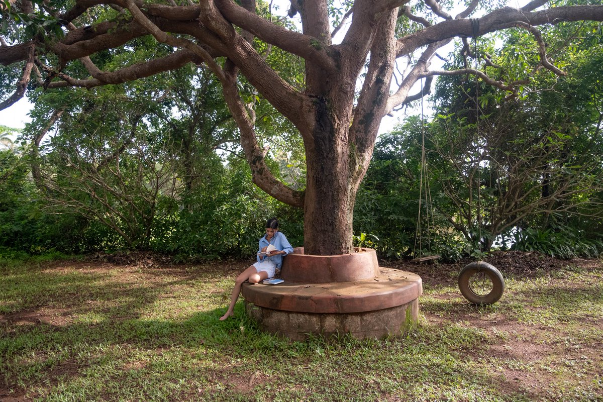 Champaca tweet media