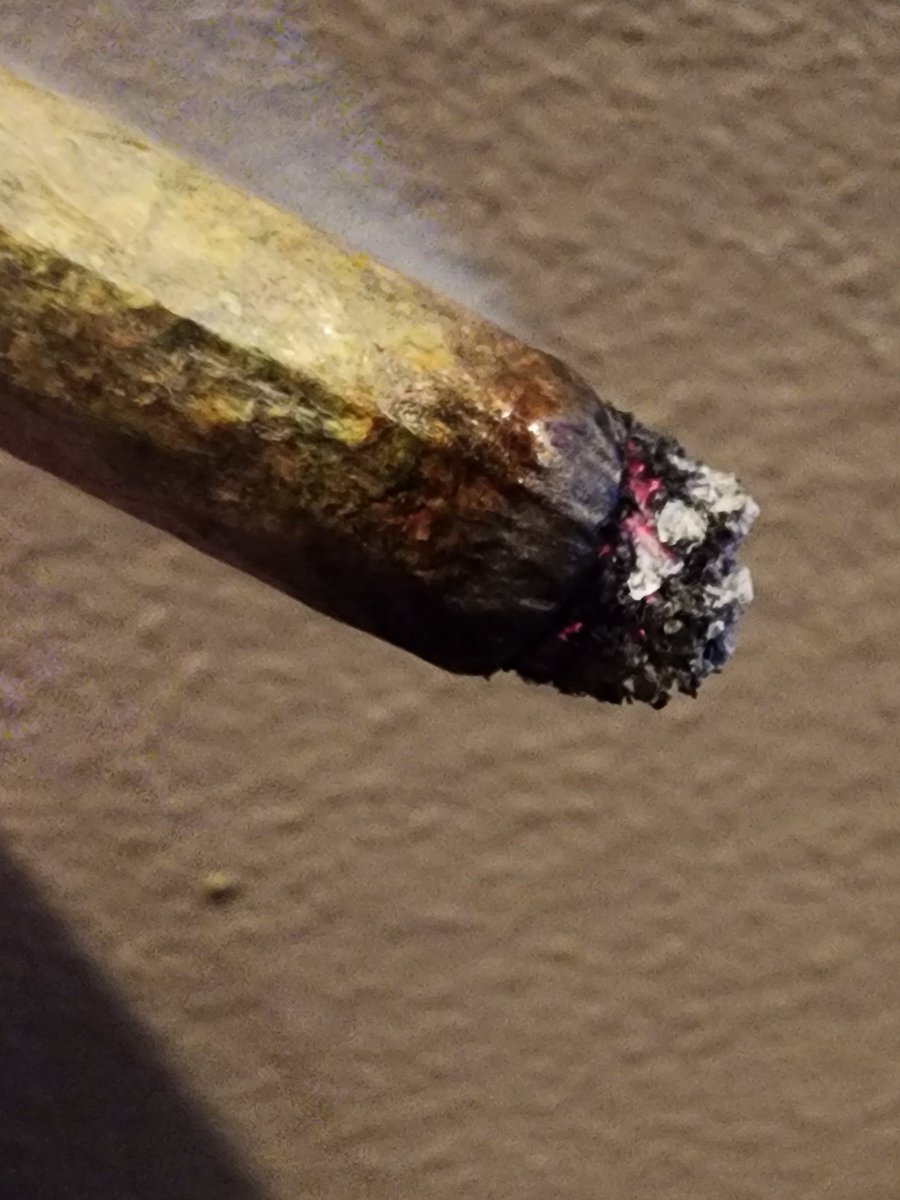kclightup's tweet photo. For being really fresh it's burning and the smoke is smooth. Flavor is slight berries but sure be more prevalent after cure. #CannabisCommunity #growyourown #organic #notill #livingsoil #earthbox https://t.co/3YJSZ6SOMn