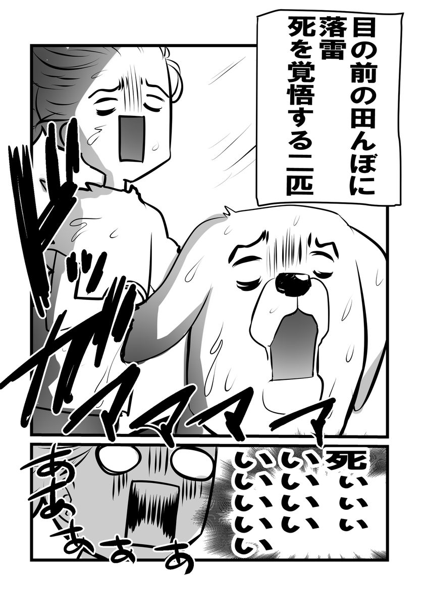 台風の時にしてはいけない事③ 