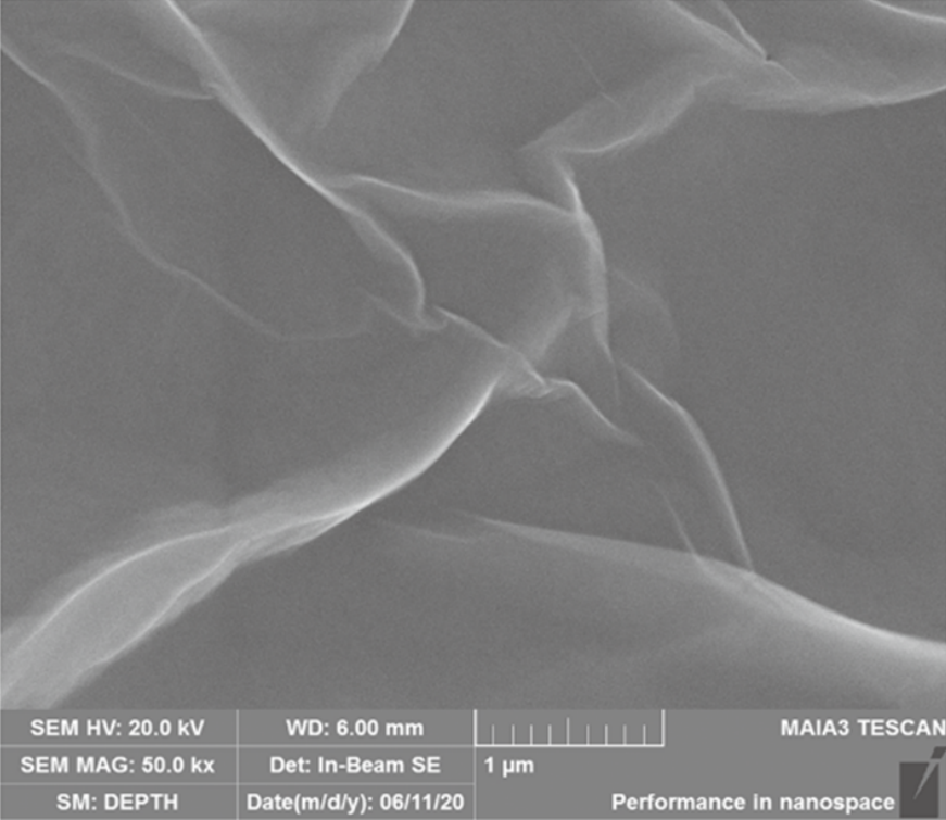 cremieuxrecueil's tweet image. This is an image from a scanning electron microscope.

The banner along the bottom is the image metadata. That banner might be useful for detecting fraudulent research

🧵