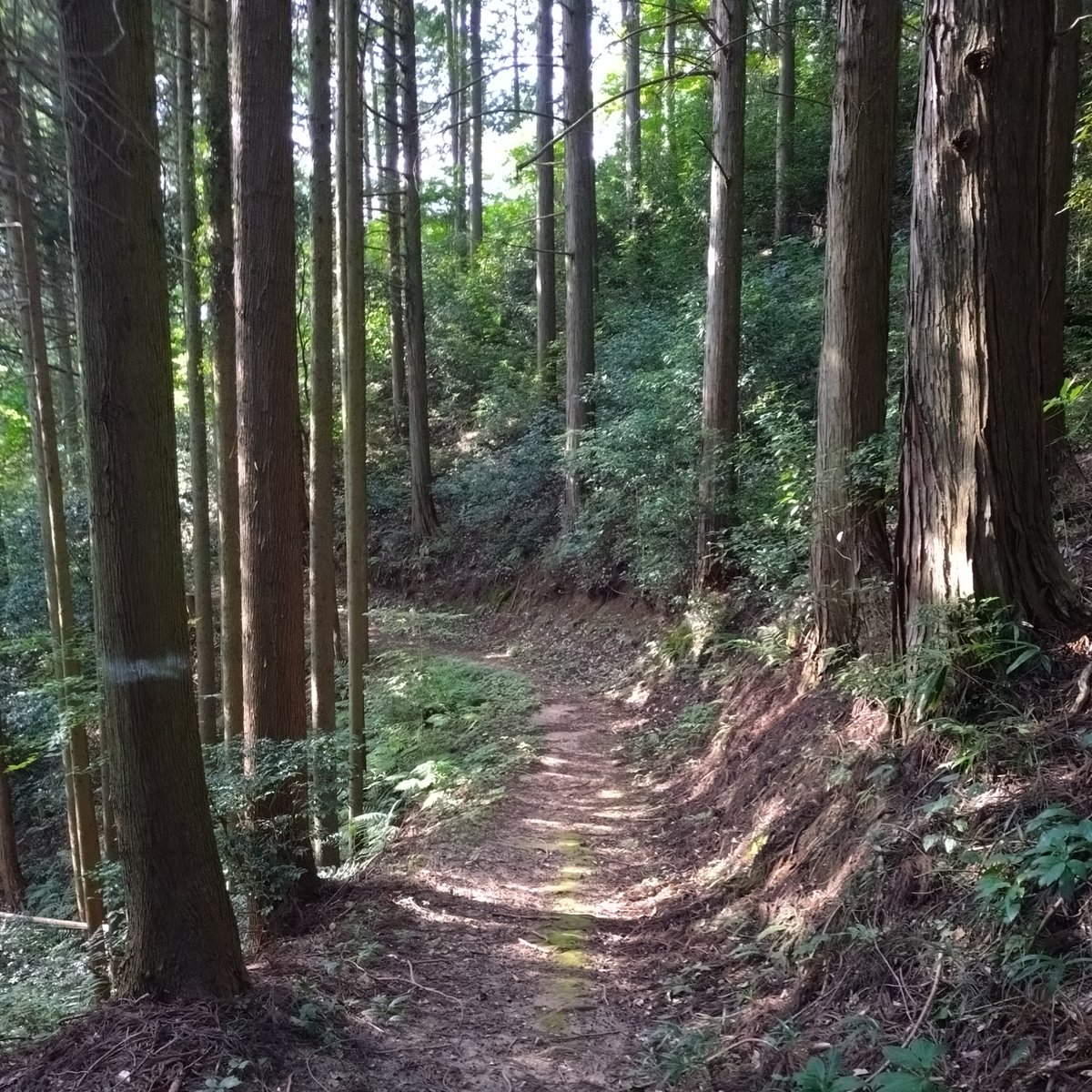 サムハラ神社奥の宮