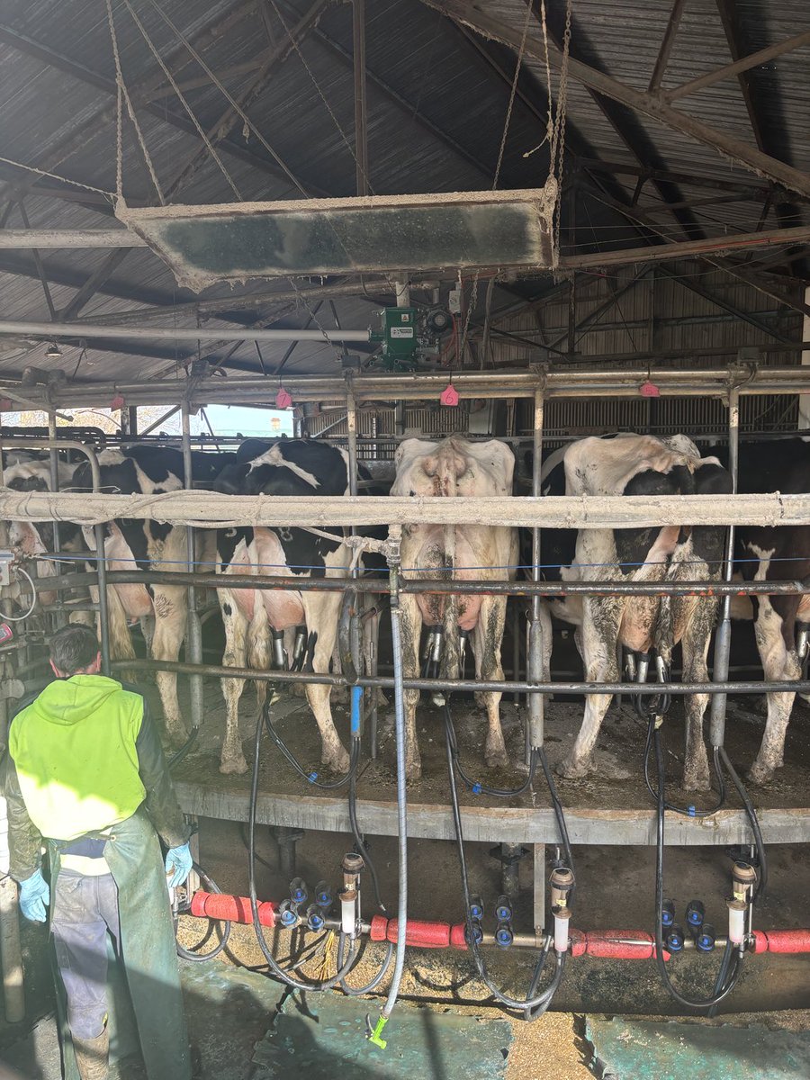 First herd test in new dairy