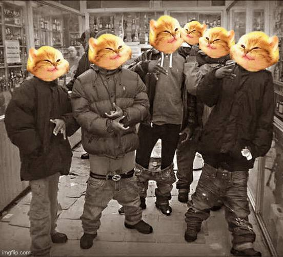 maxictosolana's tweet photo. welcome to the $maxi squad

maxillions https://t.co/adTprW4WO2