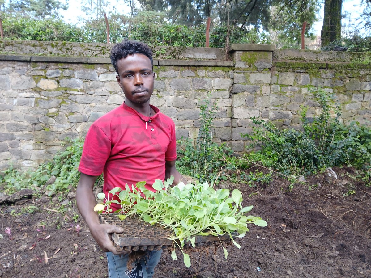 FSSA_Eskender's tweet photo. Shool gardens for sustainable food system  we Foodsecuredschoolsafrica partner with DSGE Diplomatic Charity Bazaar 
#WomenEmpowerment2024 #foodsecurity #PovertyChallenge #ClimateAction https://t.co/kKLzfF41nX