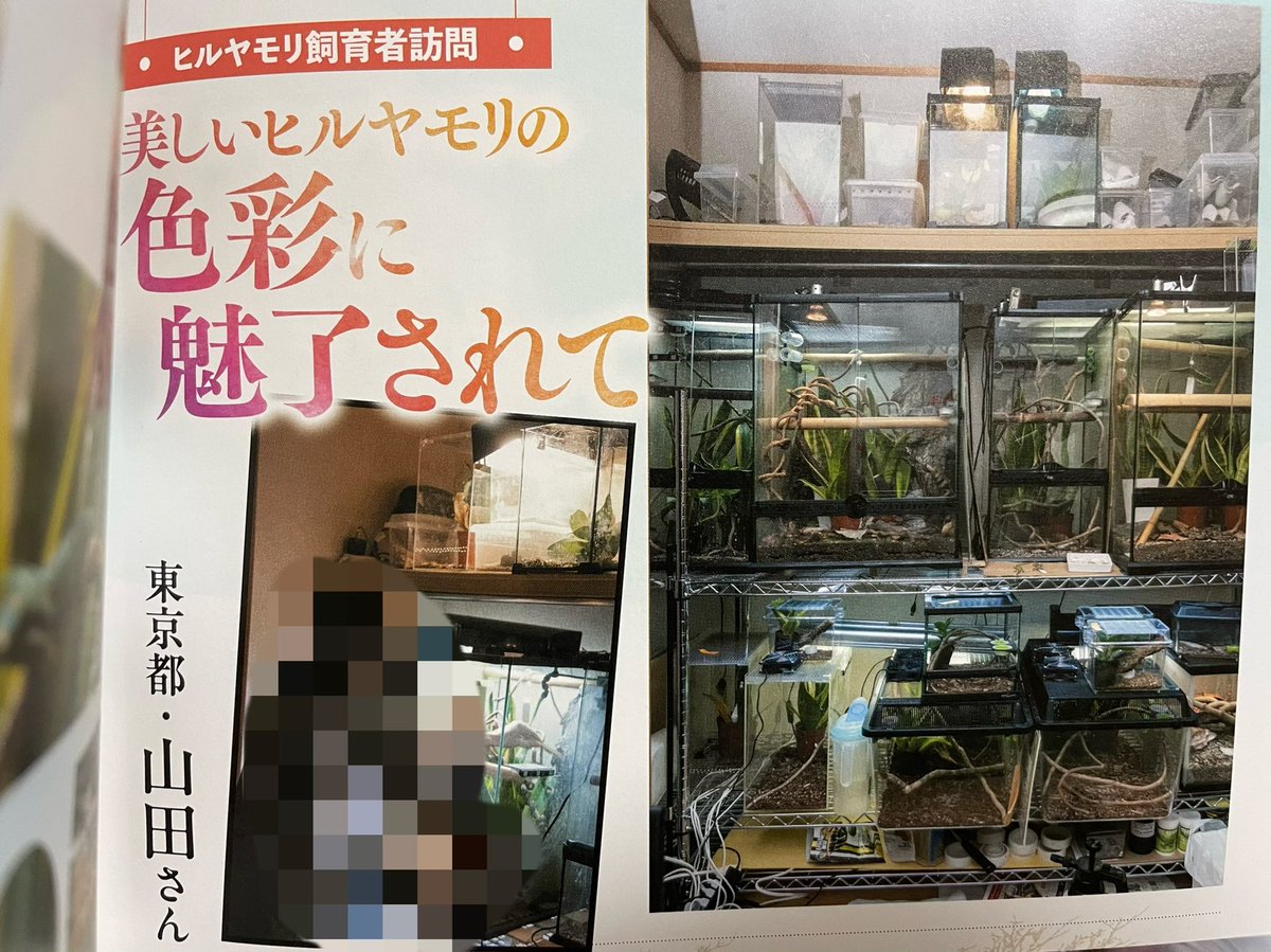 山田 tweet media