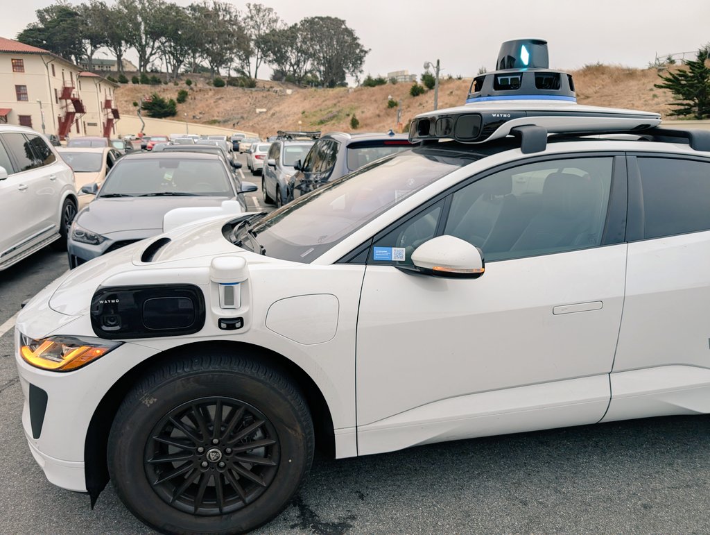 Human Nerve Ending tweet media