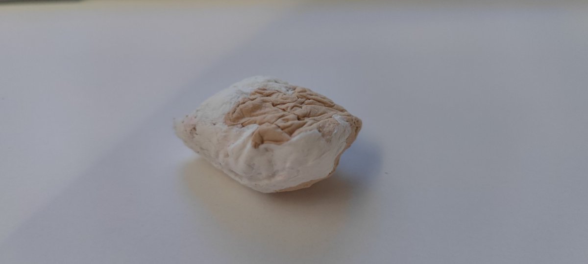 才不怕呢 tweet media