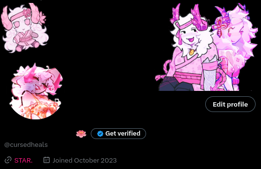 STAR.𖤐

shes almost donee