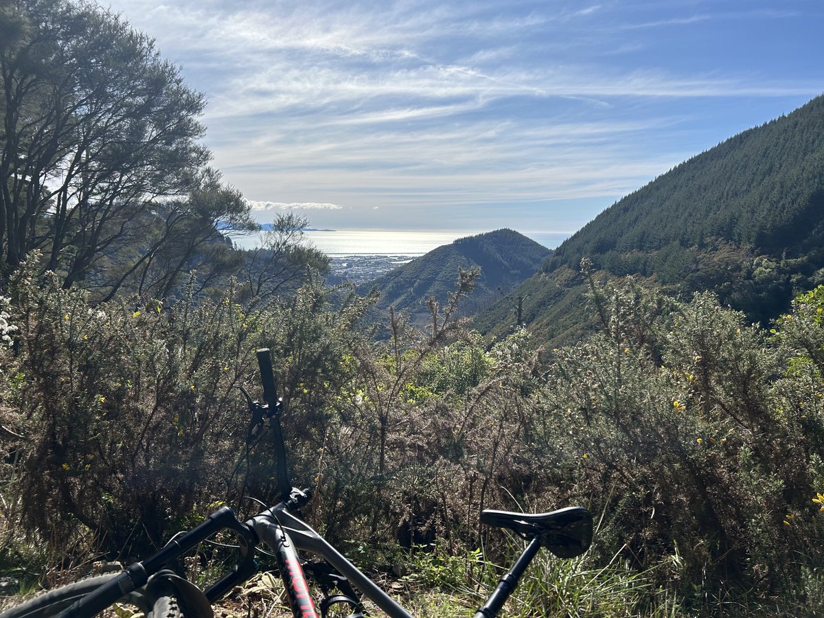 Andrew Weller tweet media