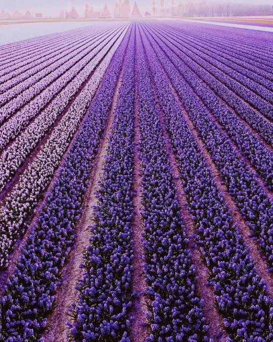 aestheticspost_'s tweet image. Japan