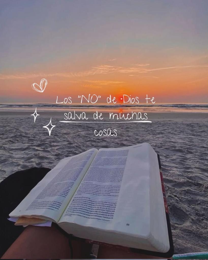 el Siervo (@elsiervo__) on Twitter photo 