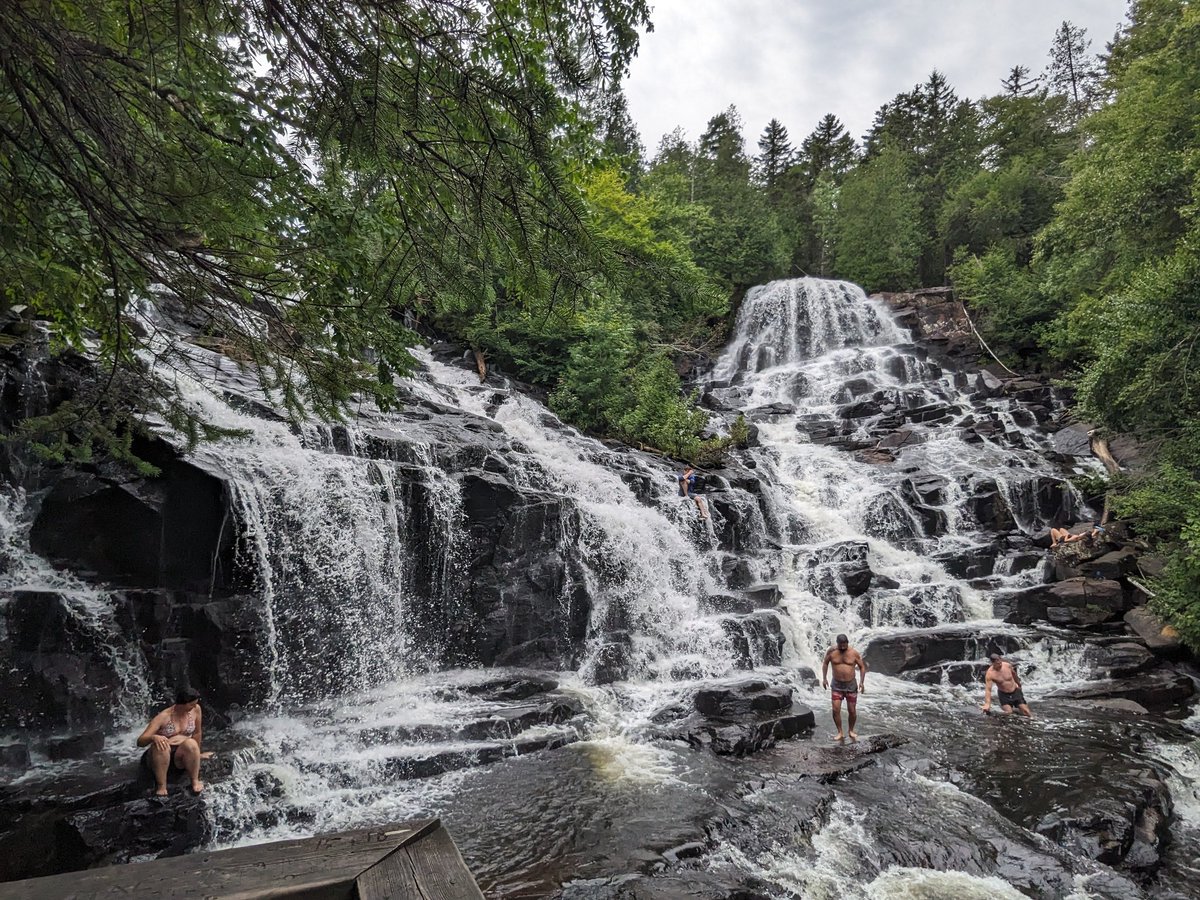 Caroline Menard tweet media