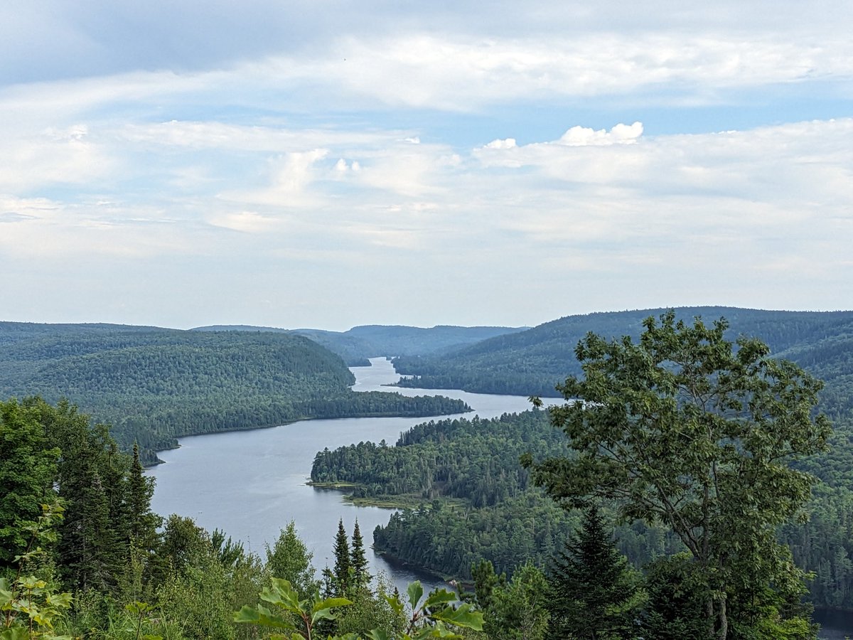 Caroline Menard tweet media