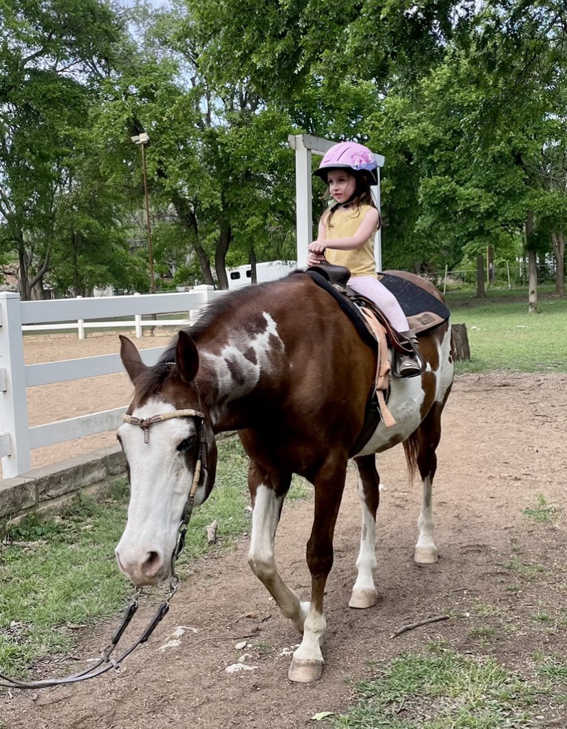 Gia Broken Spirit Horse🪶🟧🟦 tweet media