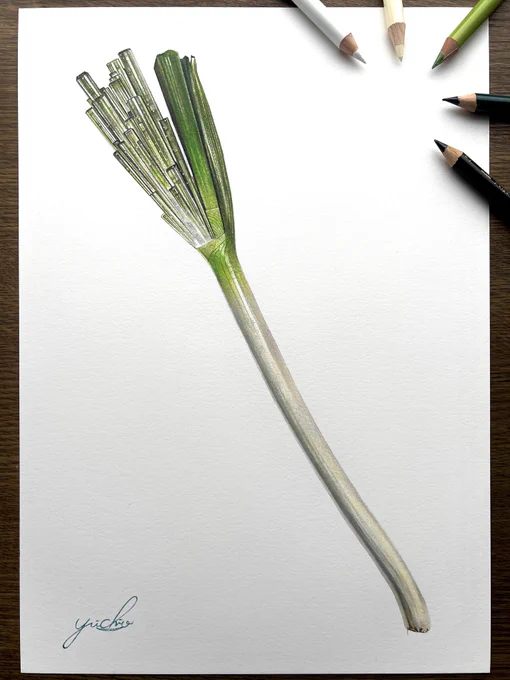 カプセルトイの発売は12月だけど、せっかくなので、「生物×宝石」食物編の原画は全て展示したいと思います 