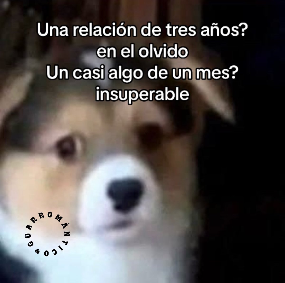 LetrasVirales's tweet photo. Insuperable 🥺 https://t.co/YlpfgHHMvN