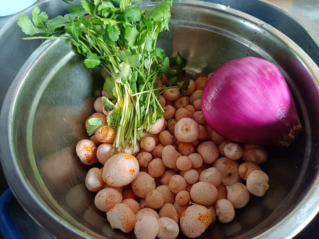 Sur De Chile tweet media