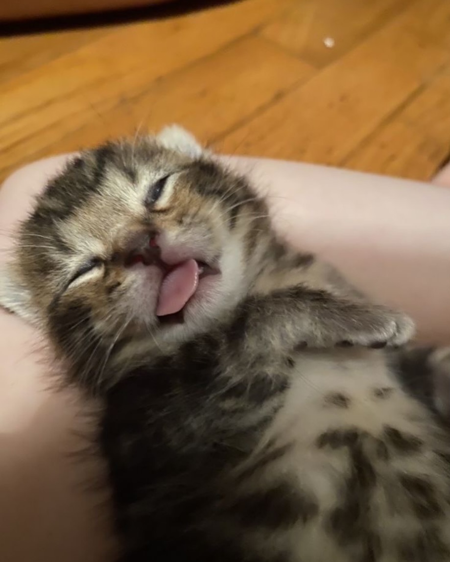 Them: "Are you tired?"
Me: