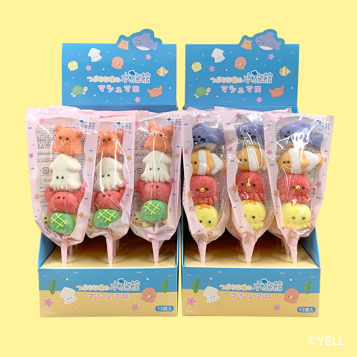 つぶらな瞳の水族館とつぶらな瞳のなまがきが とっても可愛い