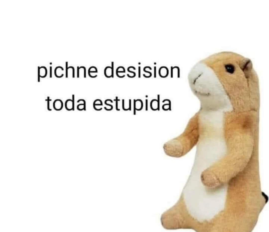 LOLmosD's tweet photo. Como cuando eliges estudiar medicina y después hacer una especialidad: https://t.co/EtO7RoQaPM