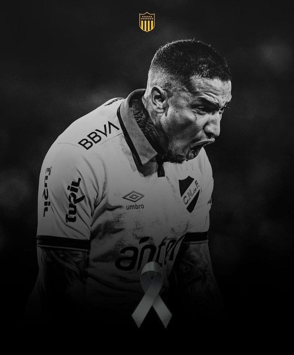 Nico Rotundo tweet media