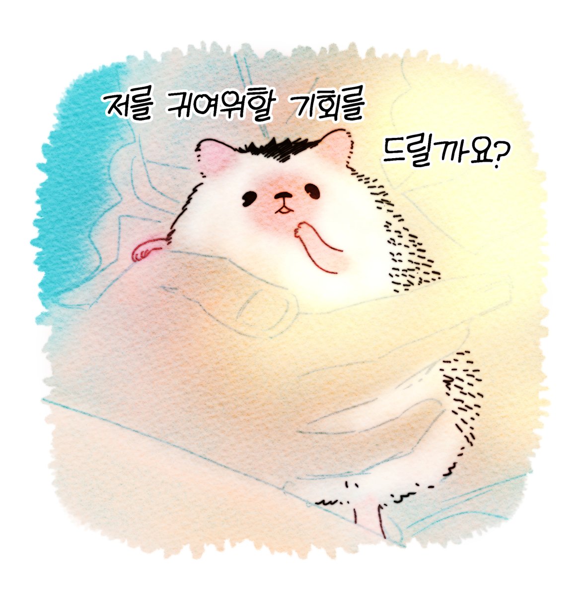 고섬도찌씨가 너무 귀여워요...