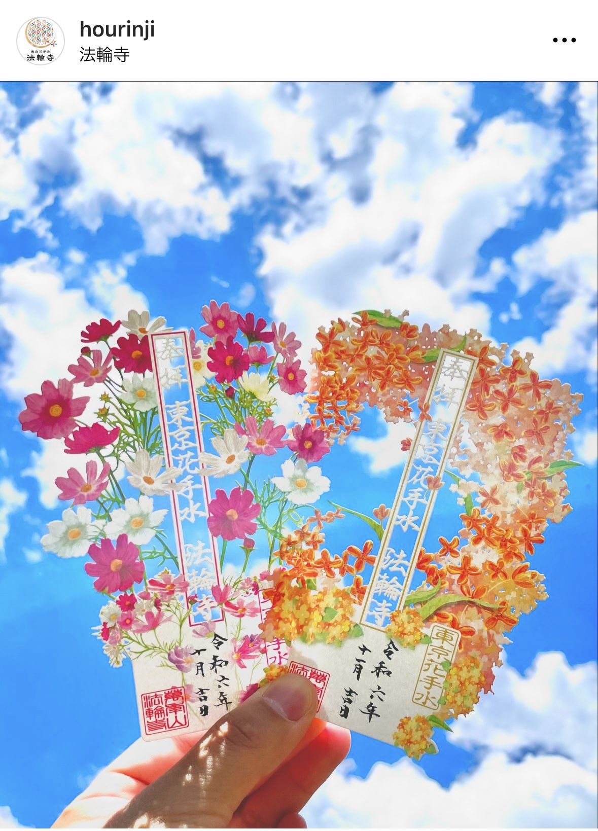 きな子@3y&1y on X: 
