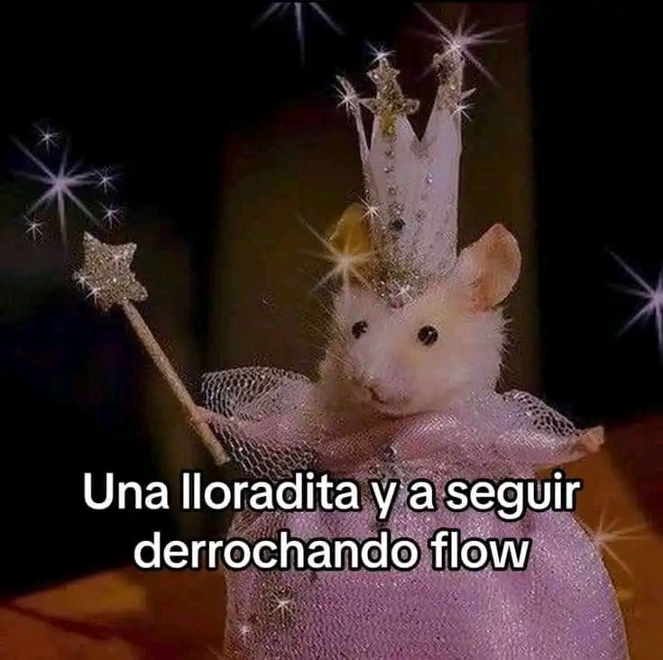 atmosfera94's tweet photo. Brillando como siempre ✨ https://t.co/yEFJpkJT3K