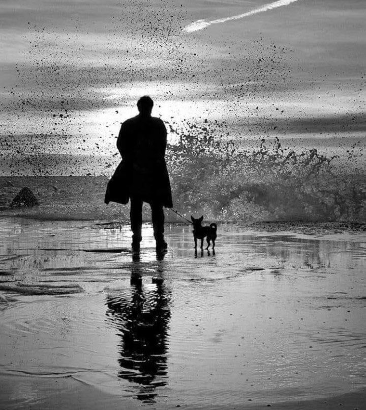 SantiagoArtis's tweet image. #posdata