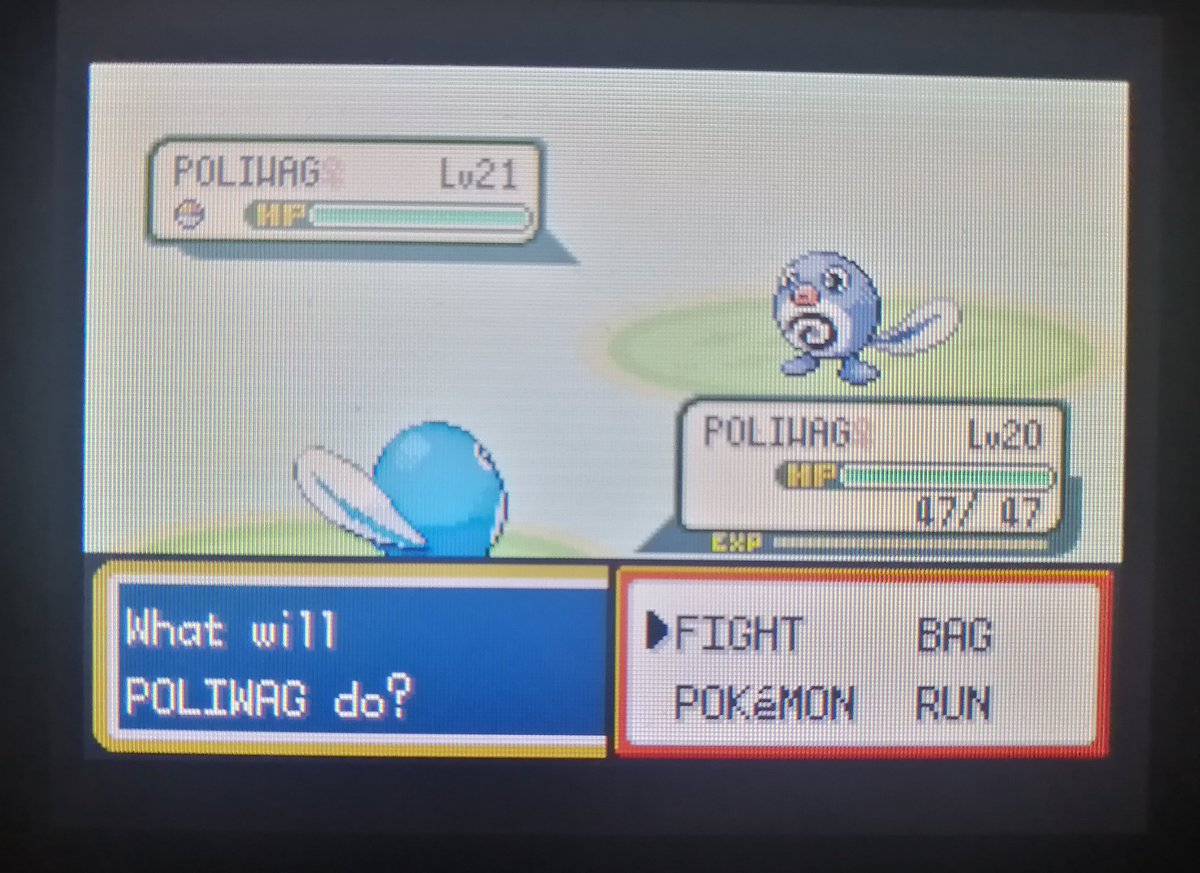 Random shiny poliwag ✨
#ShinyPokemon