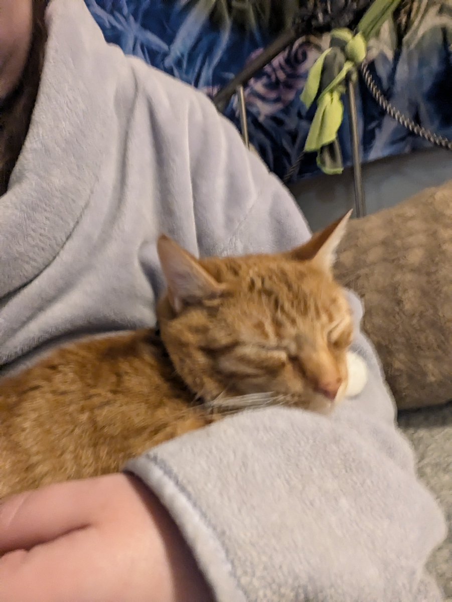 emmrysb's tweet photo. @farmer_spence thank you so much for you Kibby tribute. He truly was the best companion a soul could ask for. And I will miss him https://t.co/VHq8Sk77pH