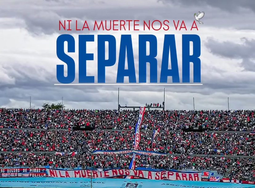 SuarezistaCNdeF (@suarezistacndf) on Twitter photo 