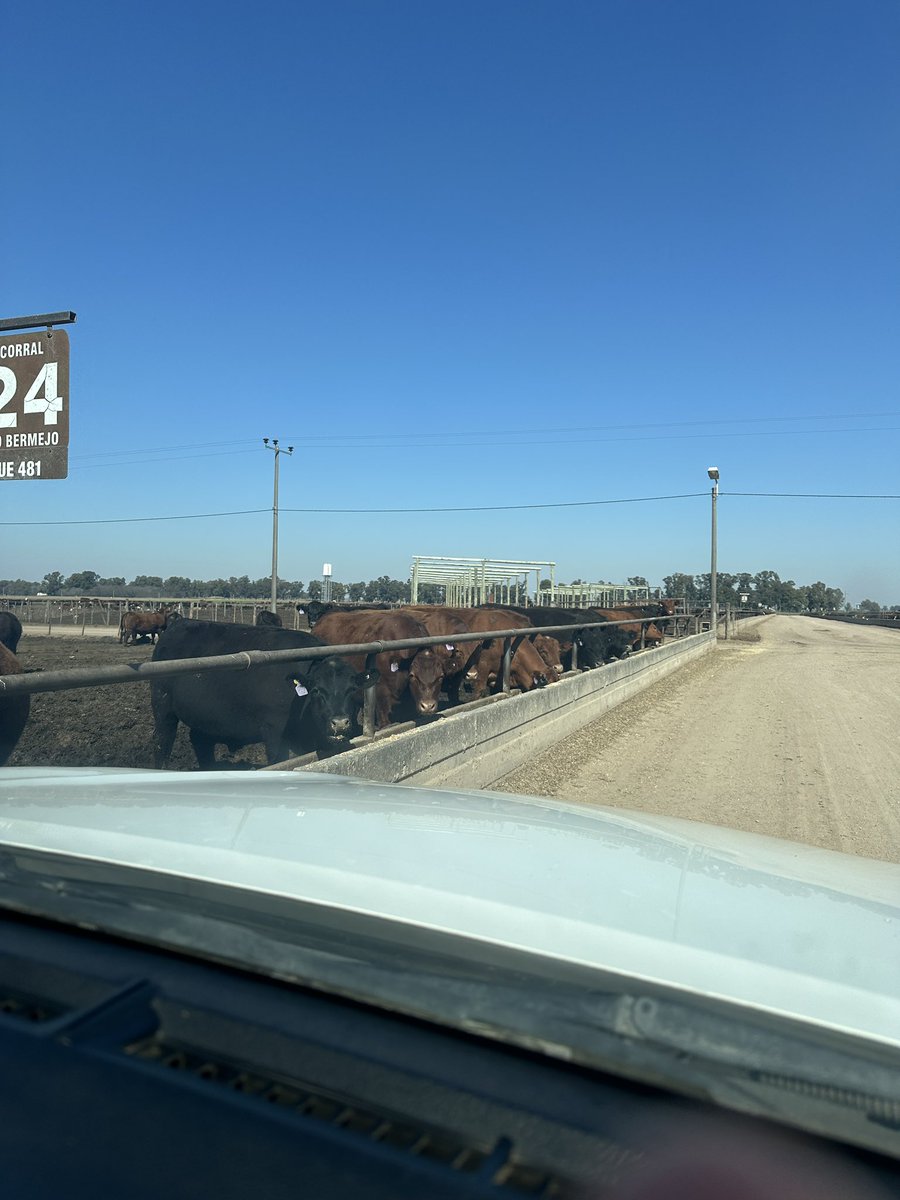 Siempre un placer visitar uno de los mejores feedlots del país…Grupo Bermejo en Estación Herrera Vegas, Bs As. El feedlot que mejor información productiva recolecta, sin ninguna duda. Gonzalo Nicora, Marcos Nievas y <a href="/Felipepereyra/">Felipe Pereyra</a> + YO en la foto