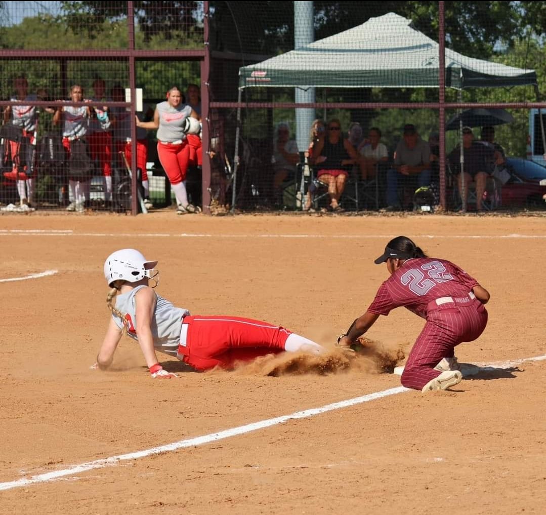 Waleli Hummingbird tweet media