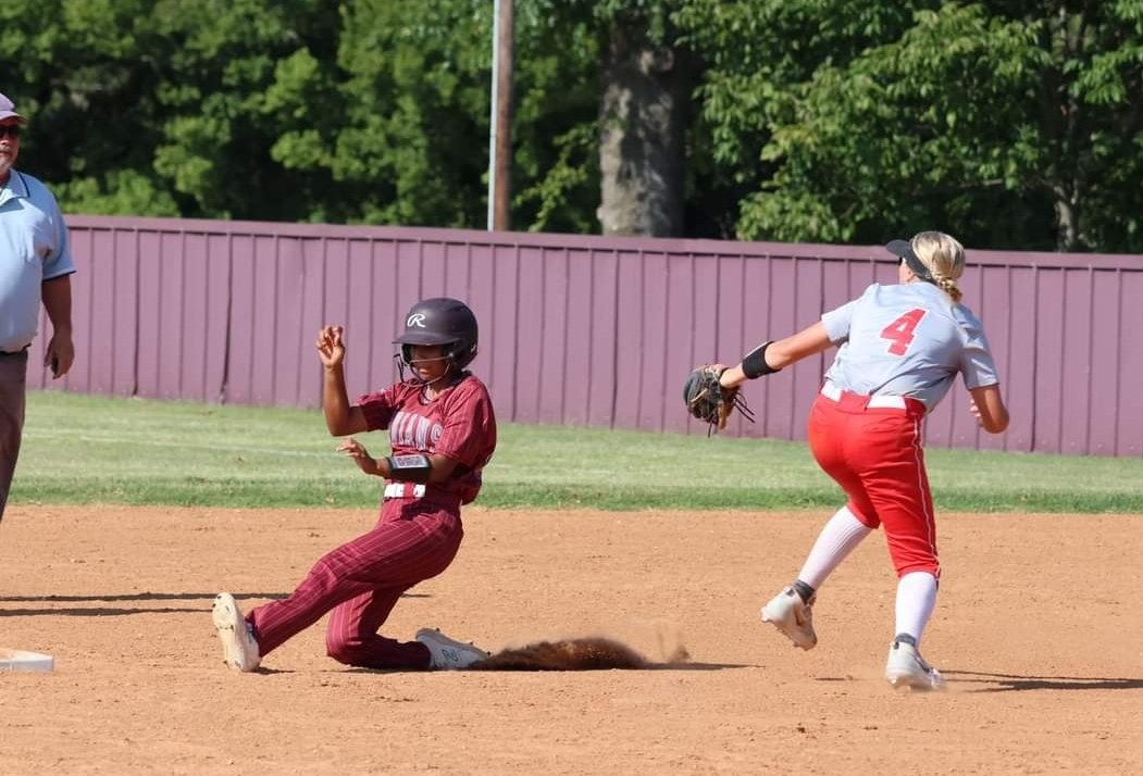 Waleli Hummingbird tweet media