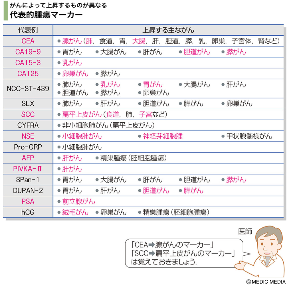 medic_yakugaku's tweet photo. ◥◣国試に頻出！◢◤
【代表的腫瘍マーカー】

（薬みえvol.3 p.332より引用） https://t.co/M1CazpnoCg