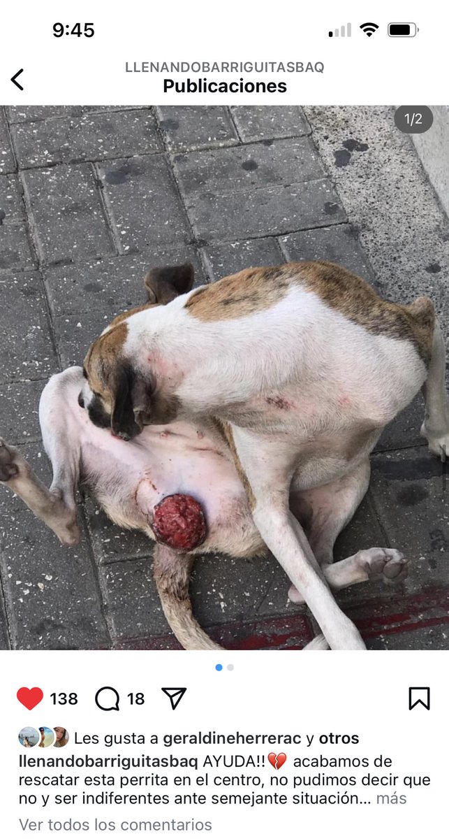 marianna tweet media