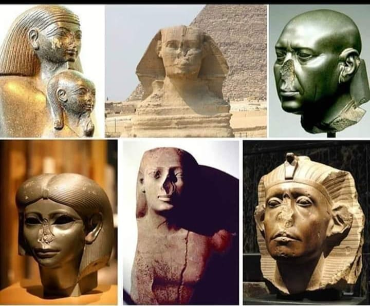 Beyond Minds tweet media