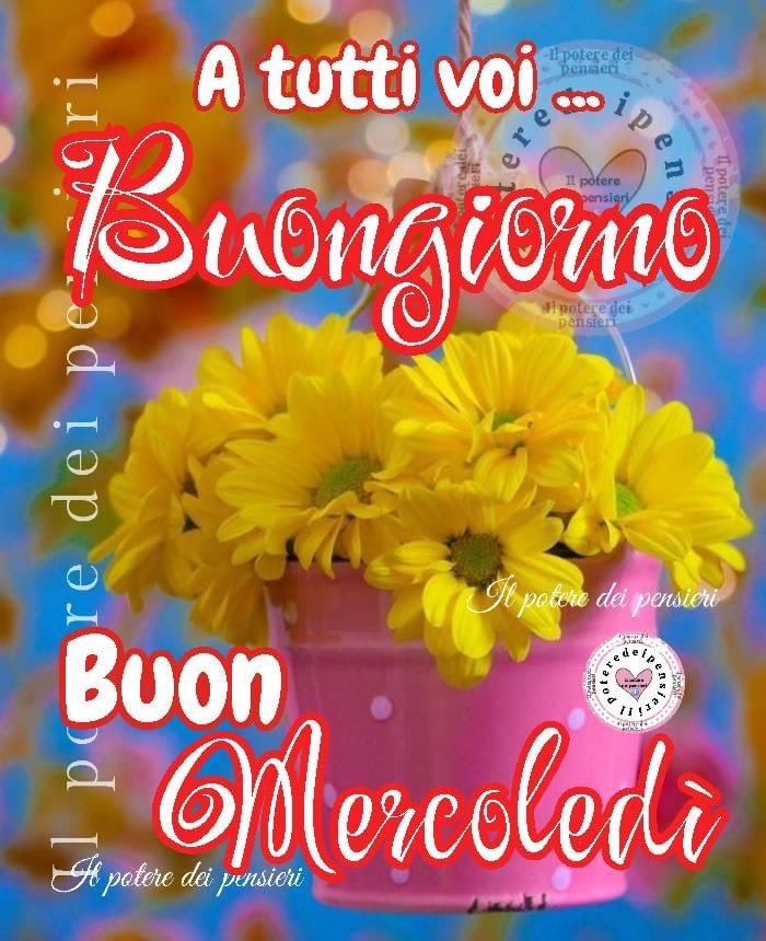 RITABIANCHi56 tweet media