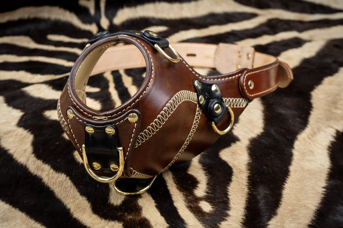 Bloudog Hardwear tweet media