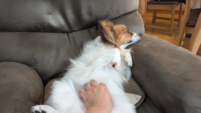 王様待遇だねえ 