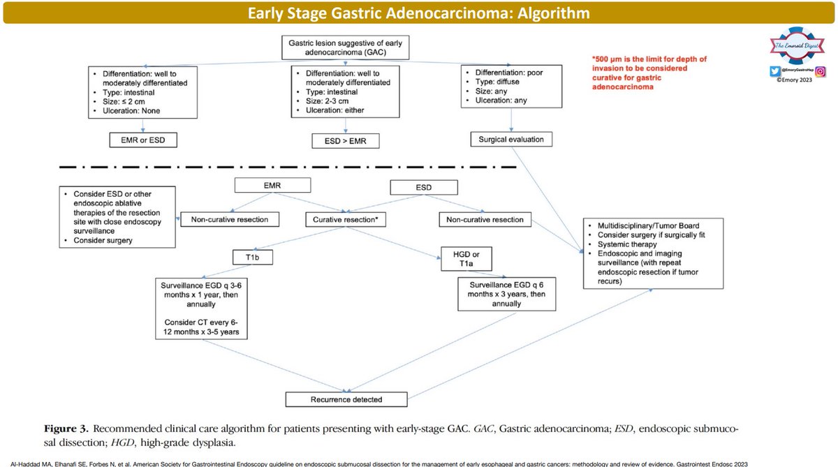 Emory Gastroenterology and Hepatology Fellowship (@emorygastrohep) on Twitter photo 🔥Emoroid Digest🔥
Explore the visual summary by @DrFiyin of the latest <a href="/ASGEendoscopy/">ASGE GI Endoscopy</a> guideline on the appropriate selection of patients for ESD for early-stage esophageal and gastric cancers. #ESD #Thirdspaceendoscopy 🔥Emoroid Digest🔥
Explore the visual summary by @DrFiyin of the latest <a href="/ASGEendoscopy/">ASGE GI Endoscopy</a> guideline on the appropriate selection of patients for ESD for early-stage esophageal and gastric cancers. #ESD #Thirdspaceendoscopy
