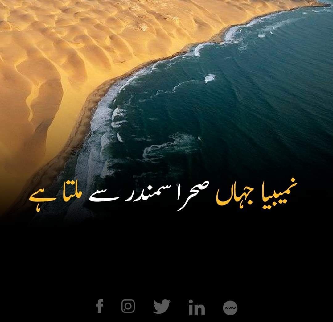 صحرائے نمیب، جو جنوب مغرب میں افریقہ کے بحر اوقیانوس کے ساحل پر پایا جاتا ہے، زمین کے خشک ترین مقامات میں سے ایک ہے۔ یہ تین ممالک میں تقریباً 81,000 مربع کلومیٹر کے وسیع رقبے پر محیط ہے اور خیال کیا جاتا ہے کہ یہ تقریباً 55 ملین سال پرانا ہے، جو اسے دنیا کا قدیم ترین صحرا بناتا