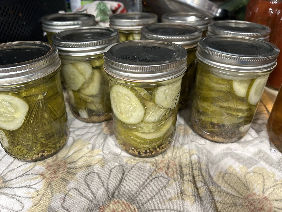 JustAmyMcC's tweet photo. #EveryBitCountsChallenge
#Homesteading4Sovereignty

9 pints of pickles. 
I was gifted a bunch of pickling cucs. 
This was my first time doing pickles EVER. It seemed fairly easy. I don’t know how they taste yet. Should I open a jar to try them or is it better towait a couple days?